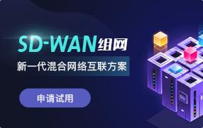 SD-WAN组网服务